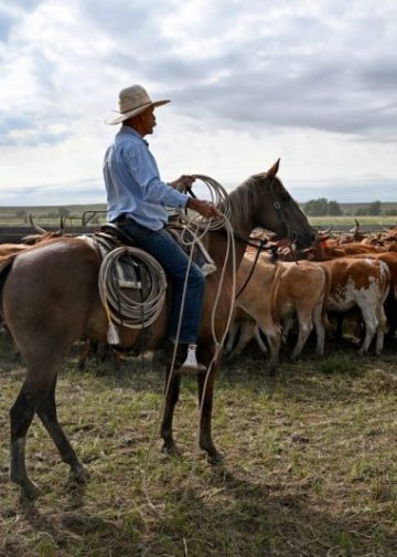 Trump’s Argentina beef import plan will harm U.S. ranchers, industry warns